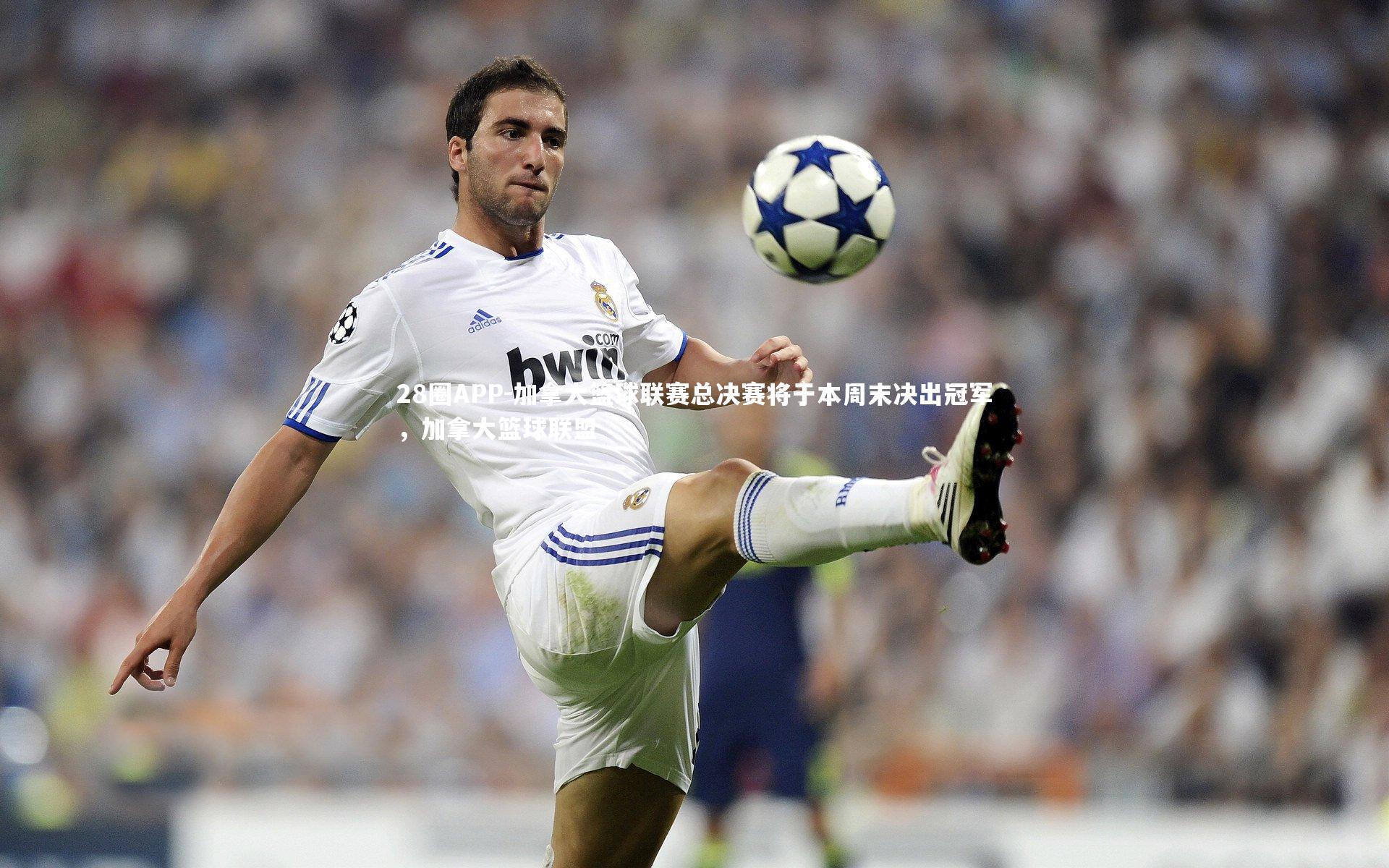 加拿大篮球联赛总决赛将于本周末决出冠军，加拿大篮球联盟