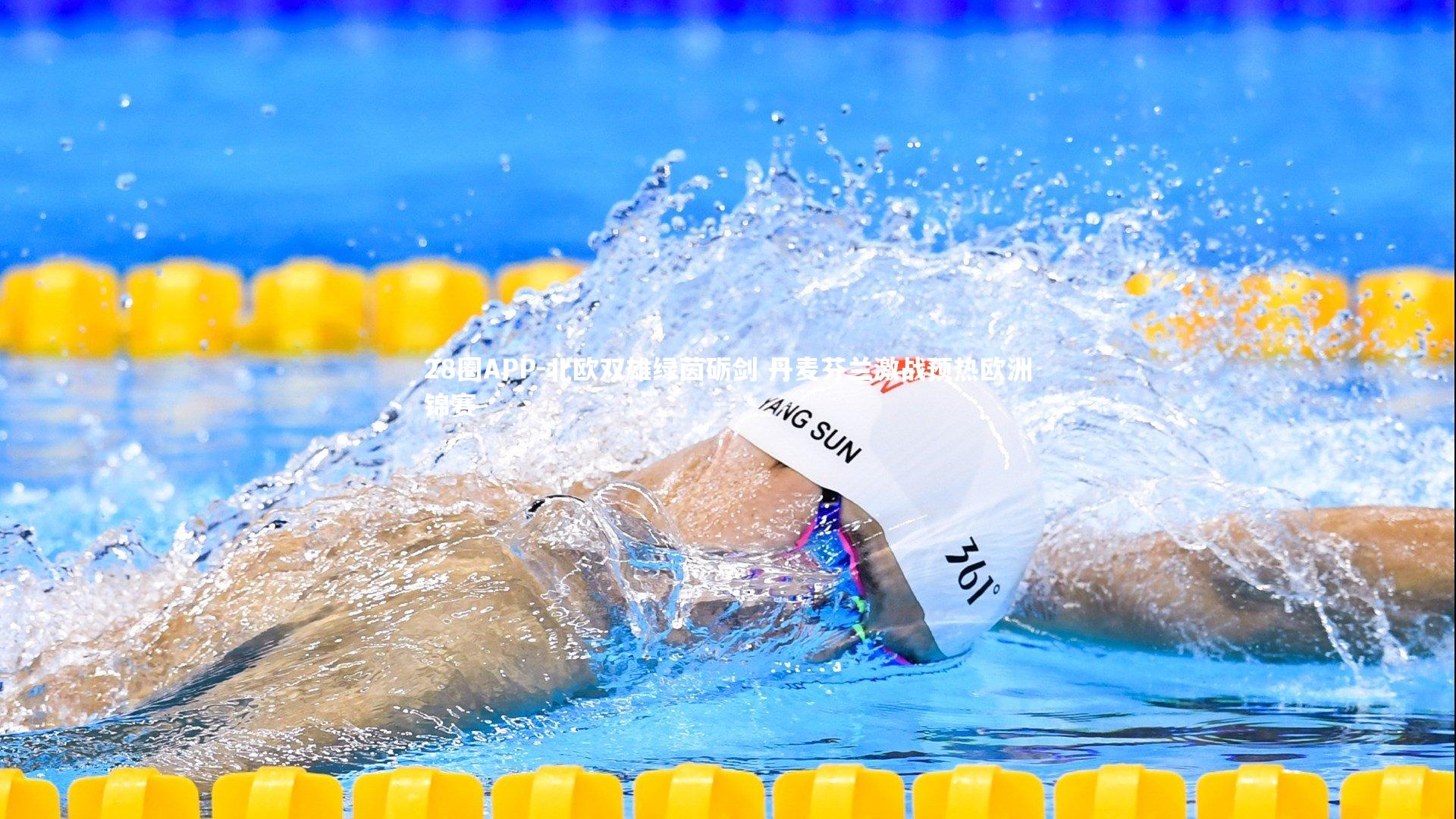 北欧双雄绿茵砺剑 丹麦芬兰激战预热欧洲锦赛