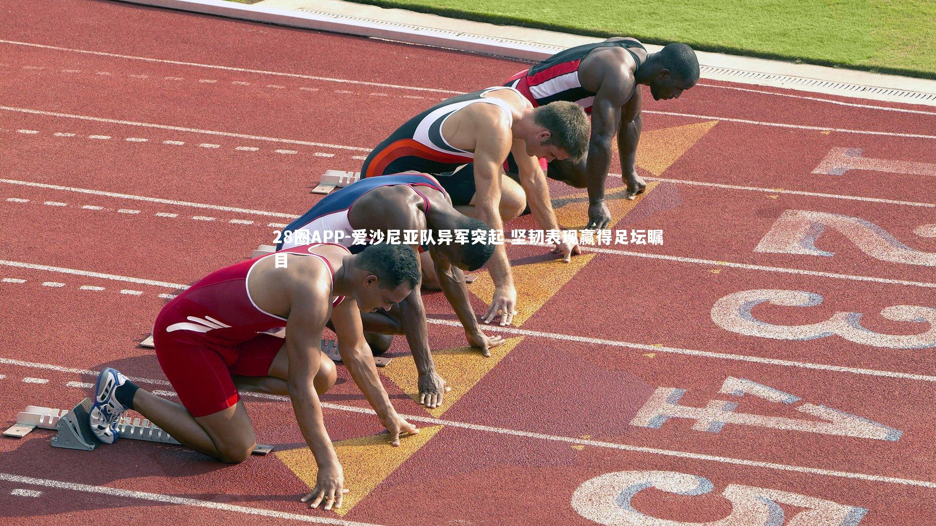 爱沙尼亚队异军突起 坚韧表现赢得足坛瞩目